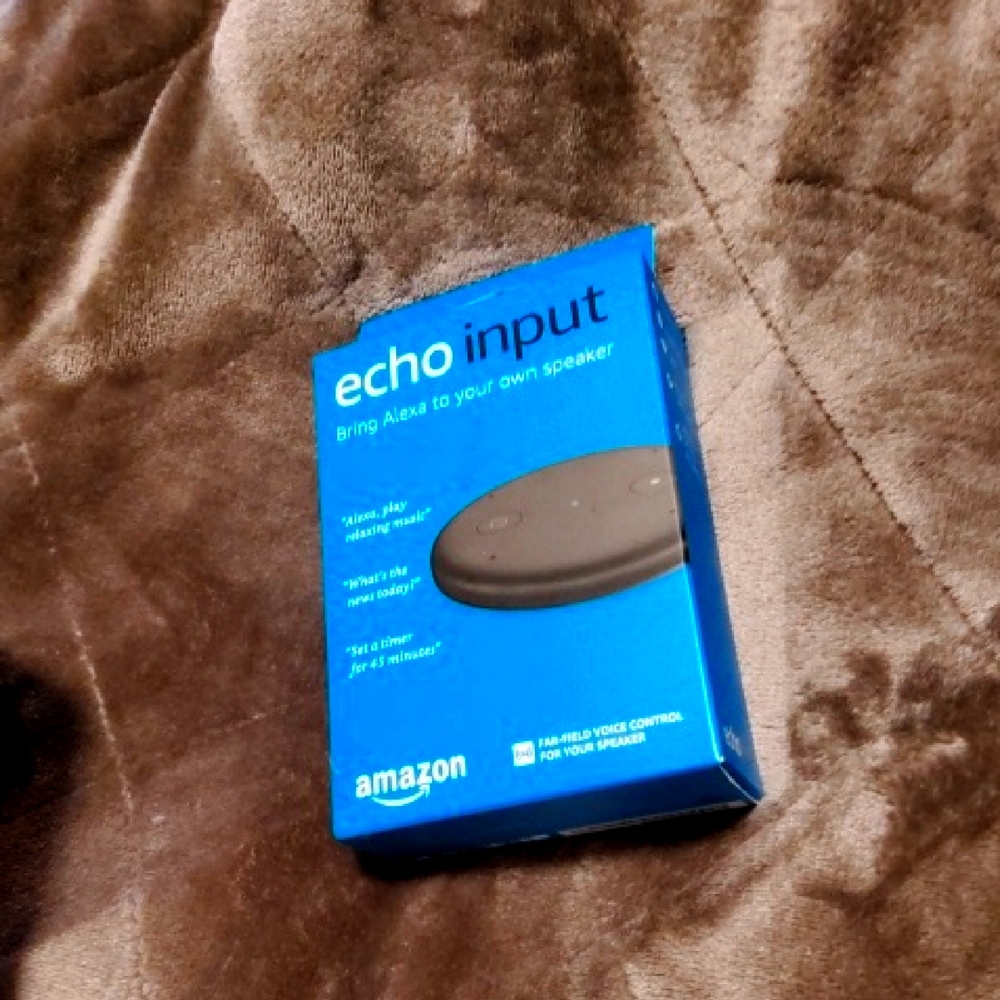 Amazon Echo Input in Blue